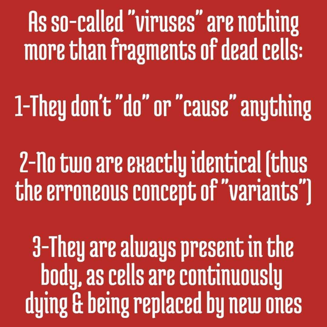 What are Viruses? virus meme