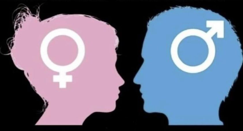 There are ONLY TWO Sexes!