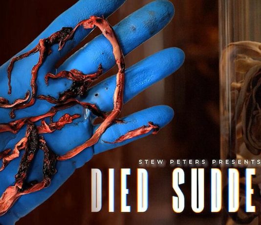 Died Suddenly (Video) died-suddenly