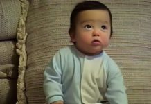 Baby Weston weston-baby