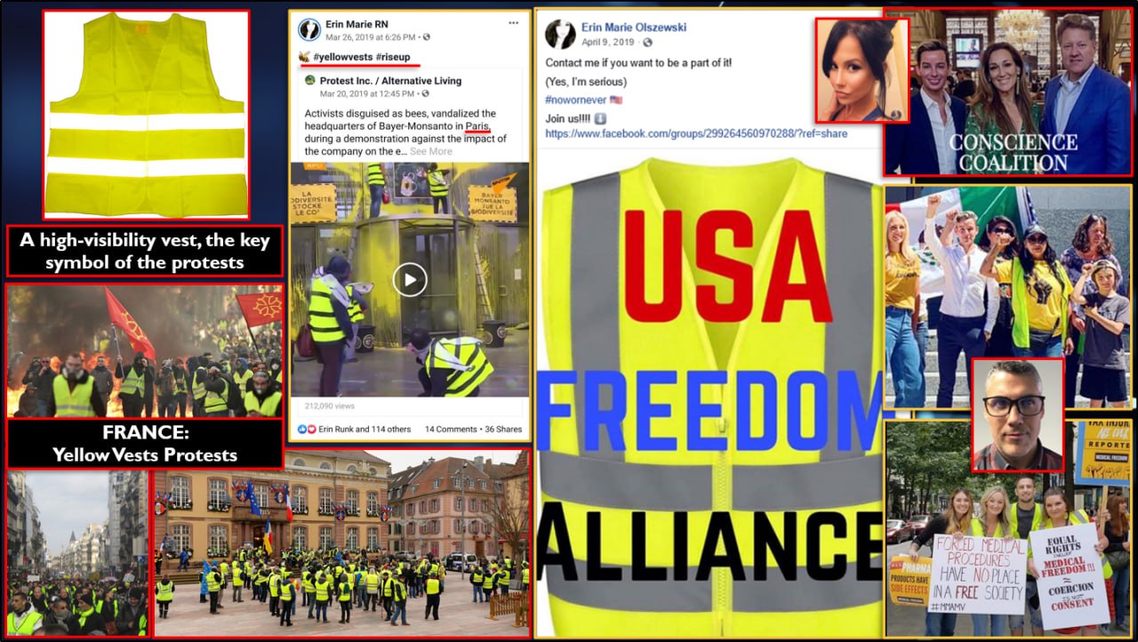 The Yellow Vest Effect: An Impending Echo in U.S. Dissent? Yellow Vest Effect