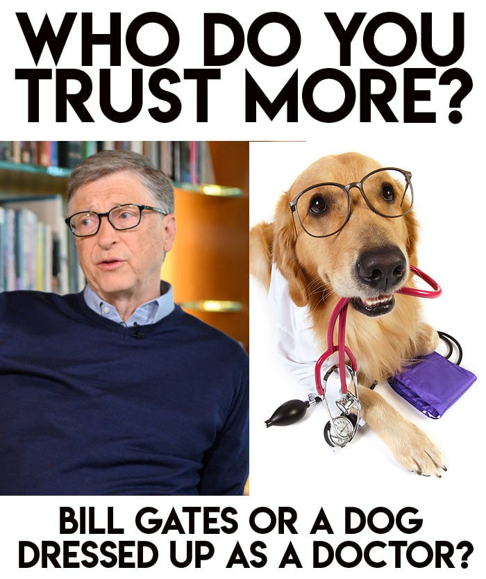 Bill Gates or Golden Retriever