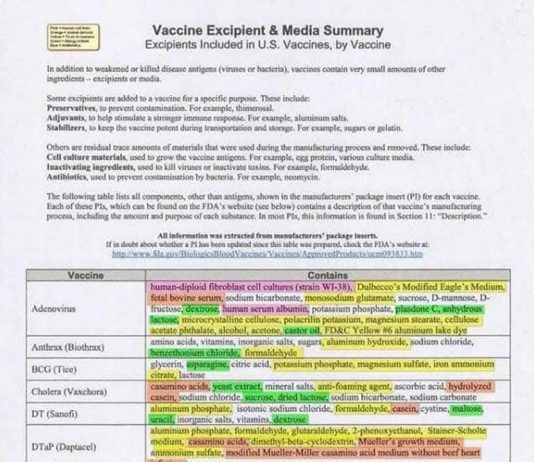 Understanding Vaccine Ingredients: What Every Parent Needs to Know (PDF) vaccine ingredients