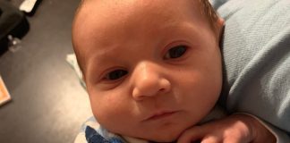 In Memory of Sweet Baby Remy baby remy