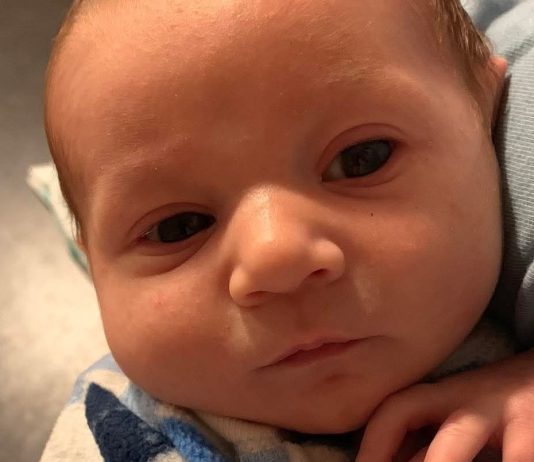 In Memory of Sweet Baby Remy baby remy