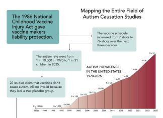 Autism Research Exposed: Charting 850+ Studies and Revealing a System Rigged Against Truth