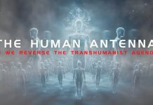 The Human Antenna – OFFICIAL FILM (Documentary) human-antenna-movie