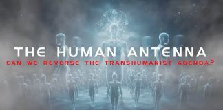 The Human Antenna – OFFICIAL FILM (Documentary) human-antenna-movie