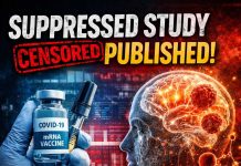 Suppressed No More: Peer-Reviewed Study Reveals Profound Genetic Disruption After mRNA Vaccination mRNA-study