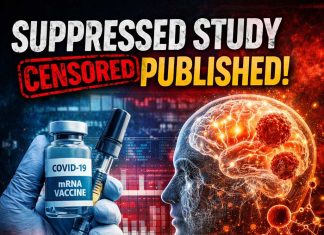 Suppressed No More: Peer-Reviewed Study Reveals Profound Genetic Disruption After mRNA Vaccination mRNA-study
