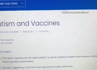 CDC Quietly Revises Website Language on Vaccines and Autism (Video) cdc-vaccines-autism-website