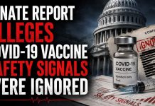 Senate Report Alleges COVID-19 Vaccine Safety Signals Were Ignored senate-report
