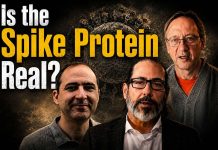 The Spike Protein Hoax? What the Lab Evidence Actually Shows