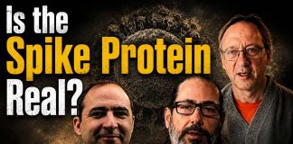 The Spike Protein Hoax? What the Lab Evidence Actually Shows