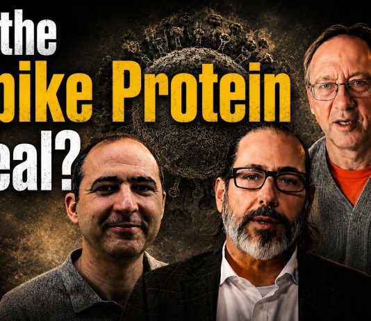 The Spike Protein Hoax? What the Lab Evidence Actually Shows